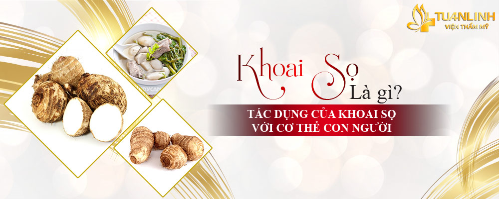 Tác dụng của khoai sọ với sức khỏe