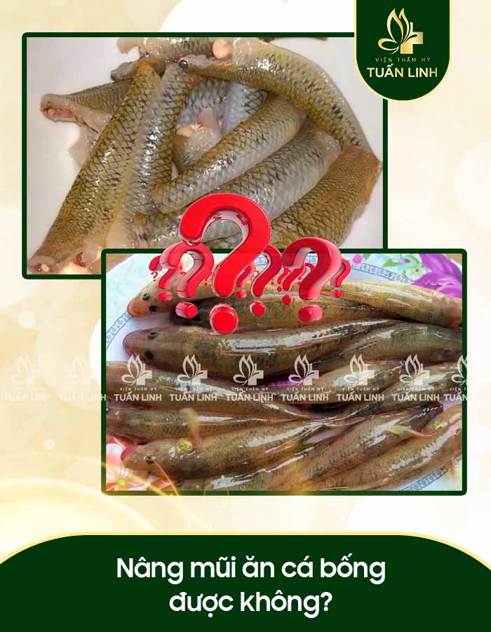 Nâng mũi ăn cá bống được không?