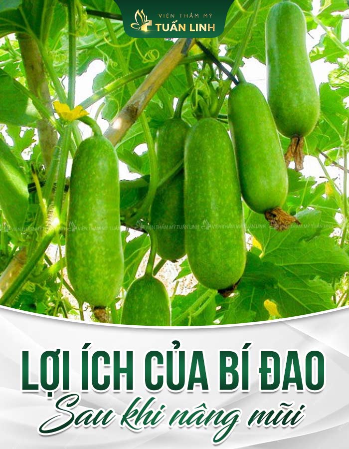 LỢI ÍCH CỦA BÍ ĐAO SAU KHI NÂNG MŨI