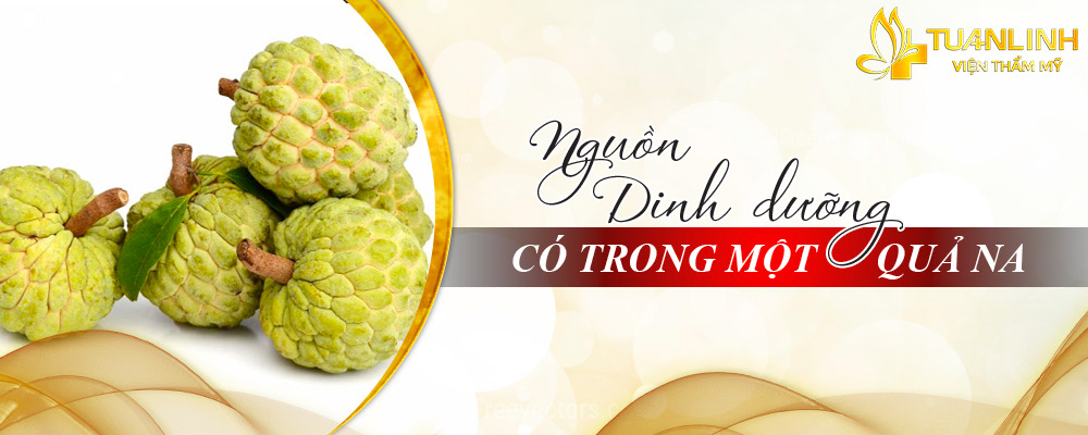 nguon dinh duong co trong 1 qua na 2