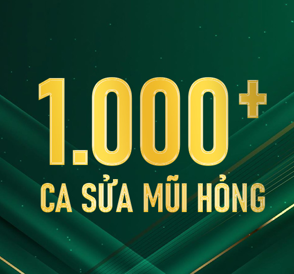 minh hoa 1