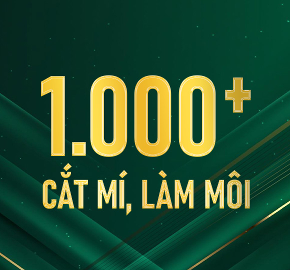 minh hoa 2